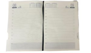Diary- Soft Rexine cover-(2024)