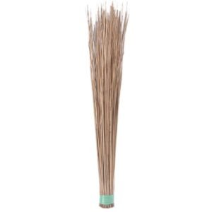 Hard Broom